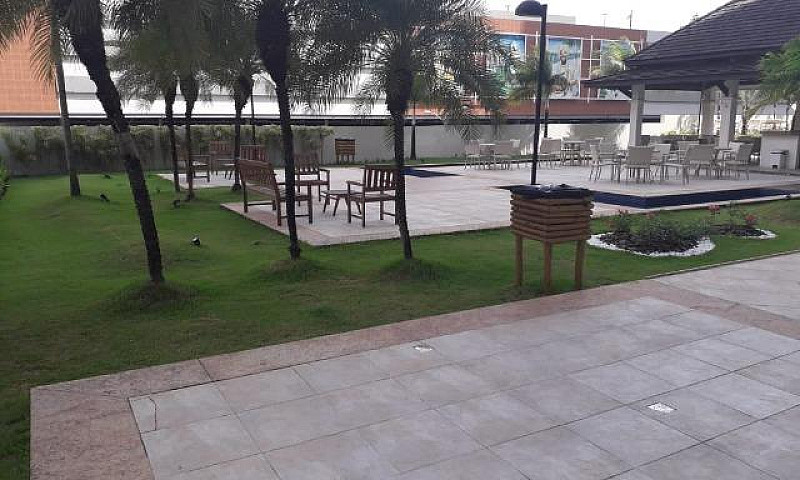 Alugo Mandarim 1/4 M...