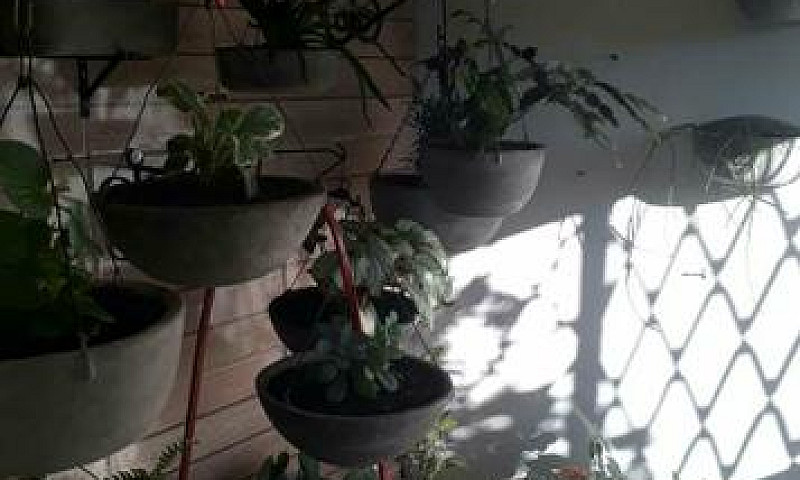 Uma Ótima Casa No Cr...