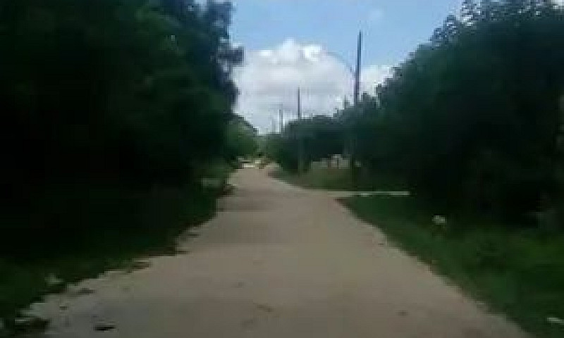 Terreno De Fundos Co...