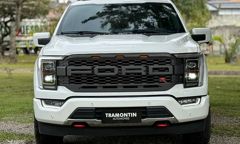 Ford F-150 Platinum ...