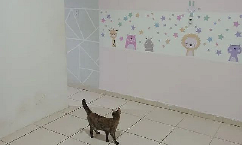  Casa Na Praia De Ir...