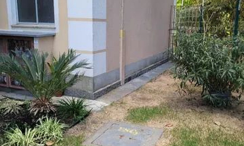 Parque Trivellato - ...