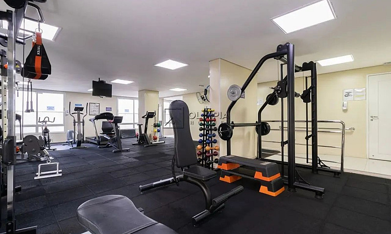 Aluguel Apartamento ...