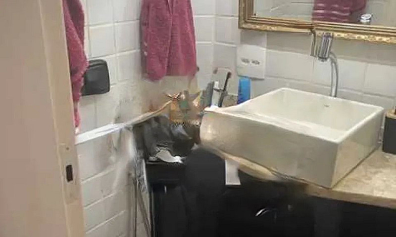 Apartamento : Padrão...