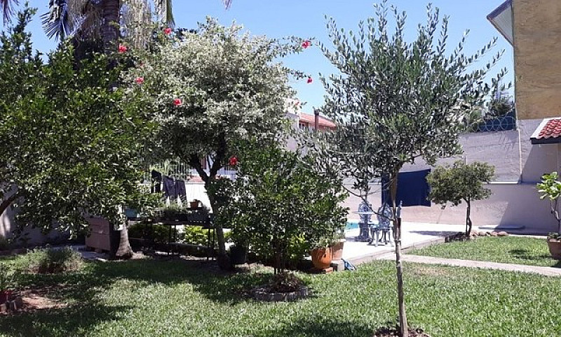 São Leopoldo - Casa ...