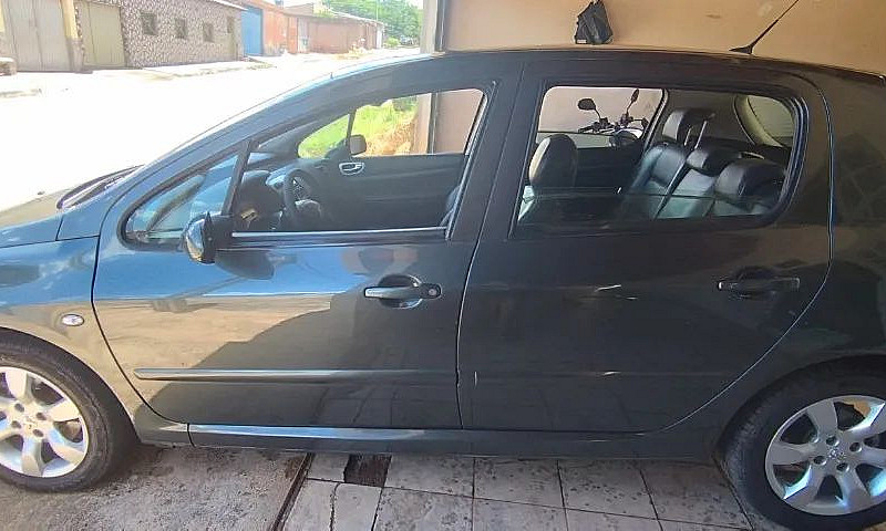 Peugeot 307 Feline/G...