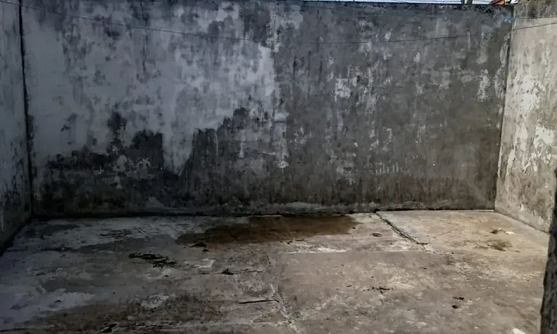 Alugo Casa Em Avenid...