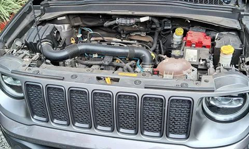 Renegade Limited 1.8...