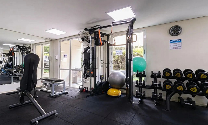 Aluguel Apartamento ...