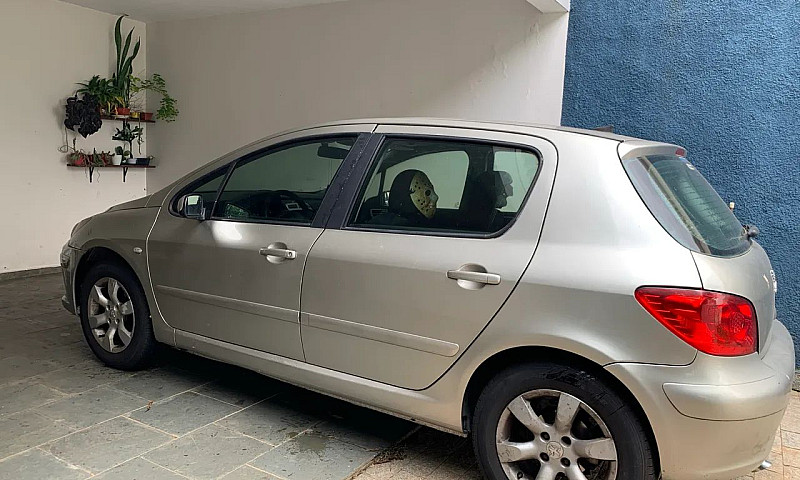 Peugeot 307 Soleil/ ...