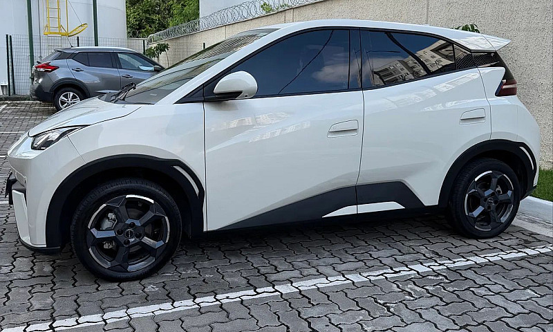 Byd Dolphin Mini (El...