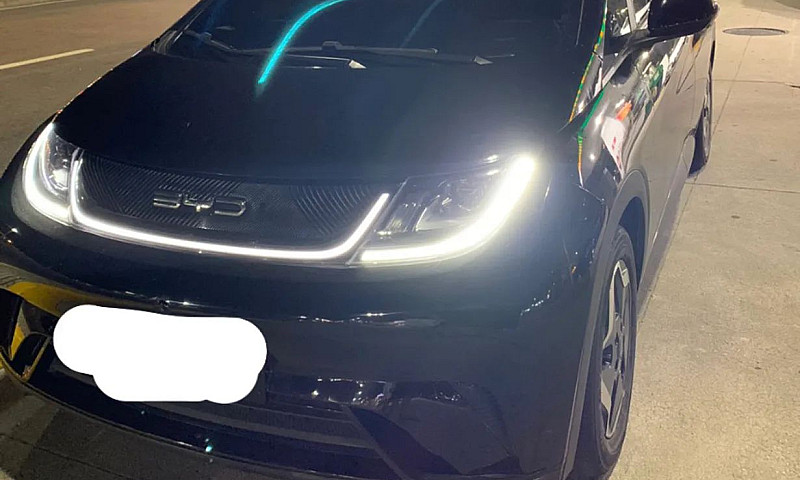 Byd Dolphin Ev (Elét...