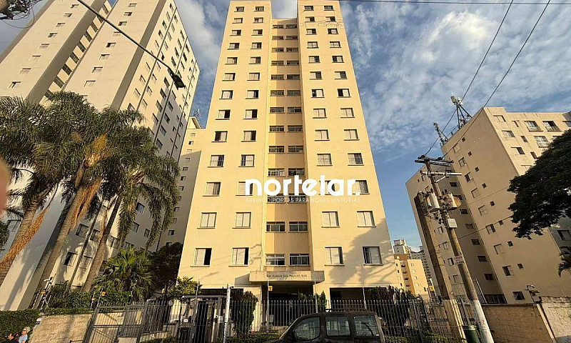 Apartamento Com 3 Do...