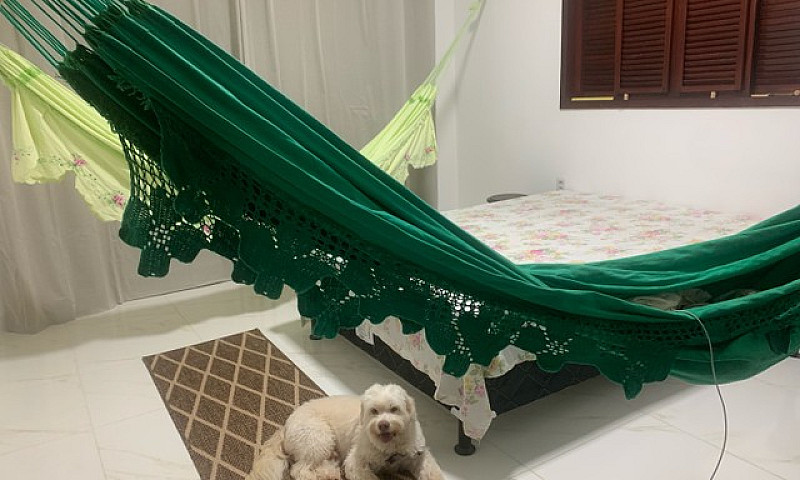 Aluga-Se Casa Em São...