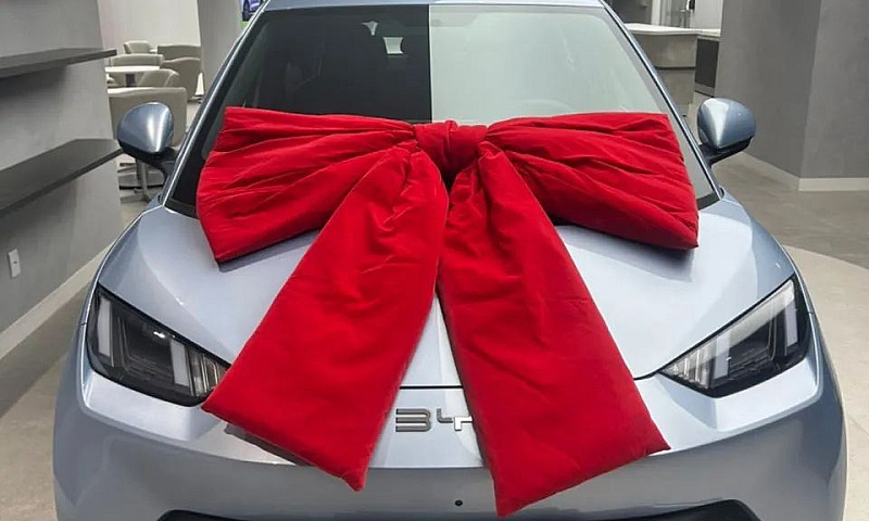 Byd Dolphin Mini (El...