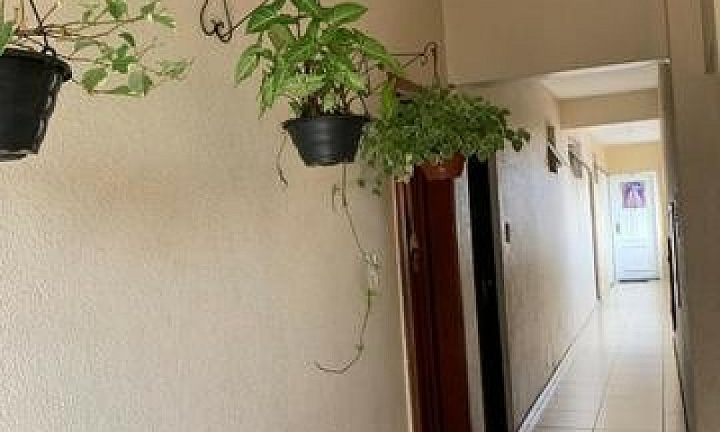 Apartamento Para Alu...