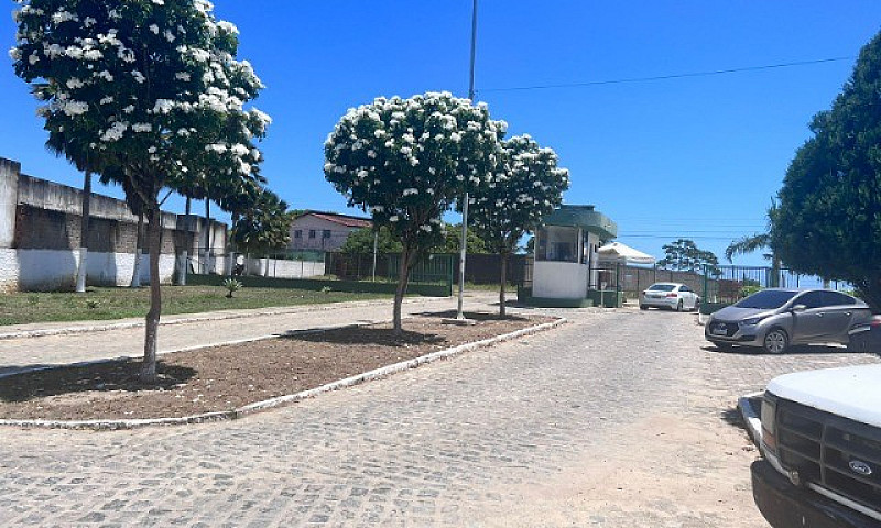 Casa Na Santa Amélia...