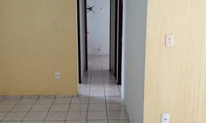 Apartamento No Jardi...