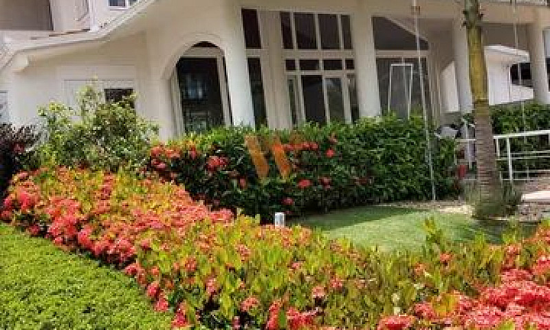 Casa Para Alugar No ...