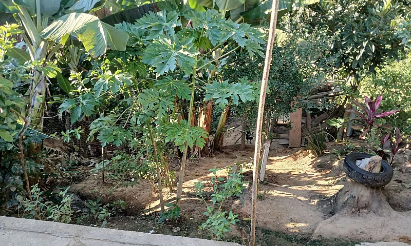 Ótima Casa À Venda...