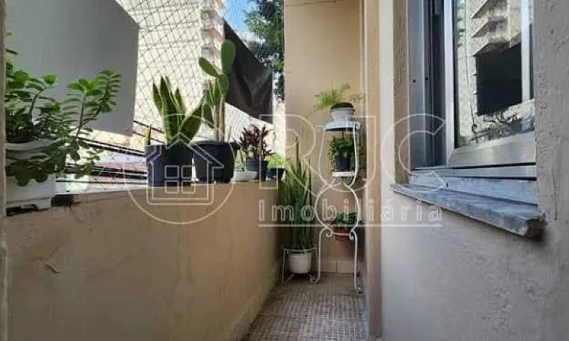 Apartamento - Padrão...