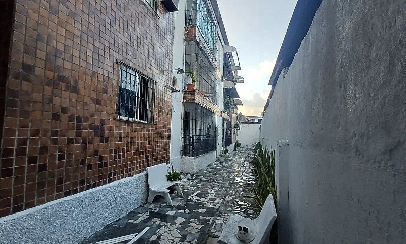 Apartamento Para Loc...