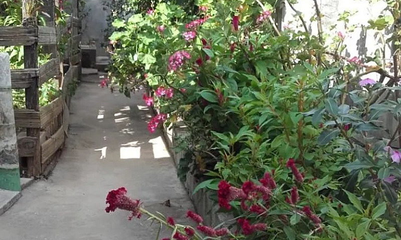 Oportunidade 2 Casas...