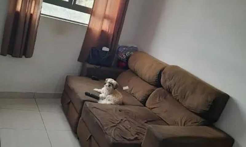 Repasse Apartamento ...