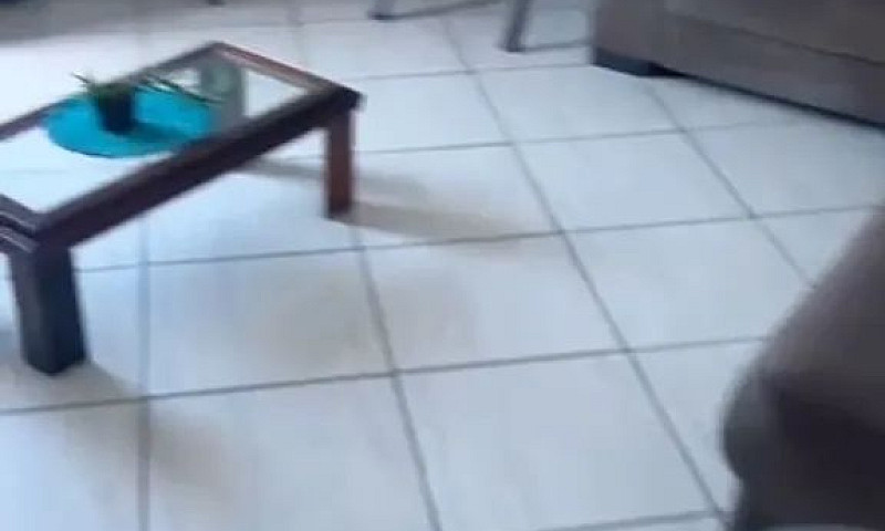 Aluga Se Uma Casa ...