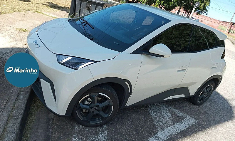 Byd Dolphin Mini (El...