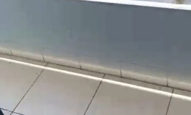 Aluga Se Uma Casa ...