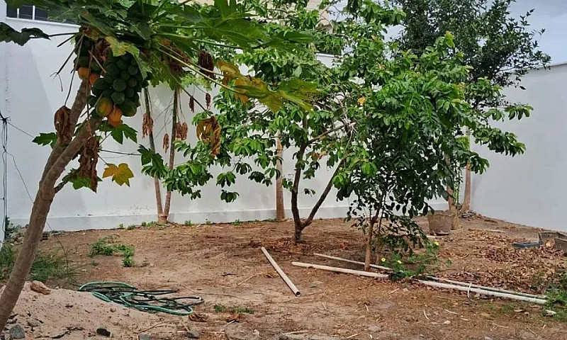 Casa Em Condomínio F...