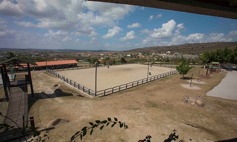 Flat No Monte Castel...