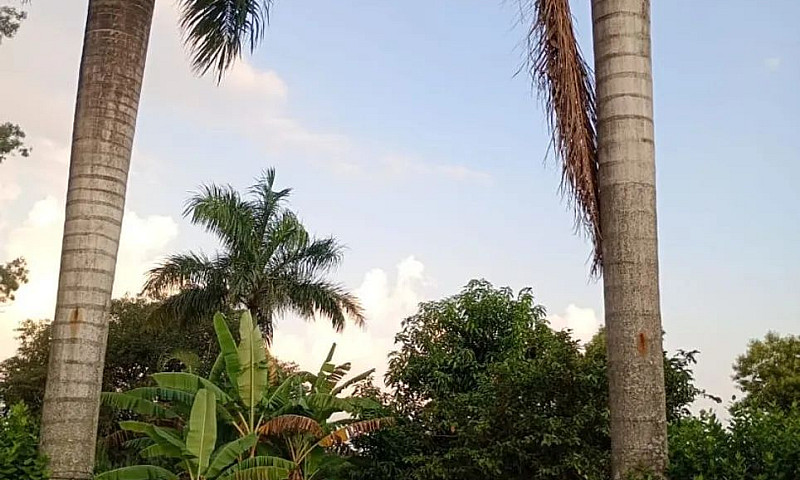 Vendo Terreno Com Du...