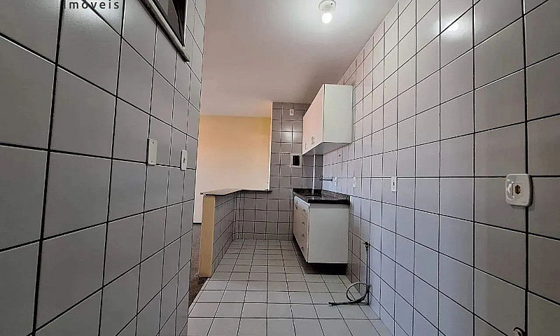Apartamento Com 3 Qu...