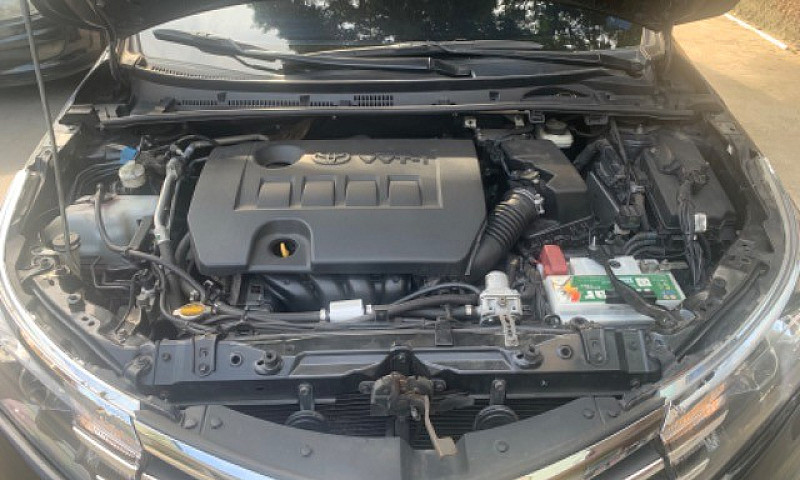 Toyota Corolla ...
