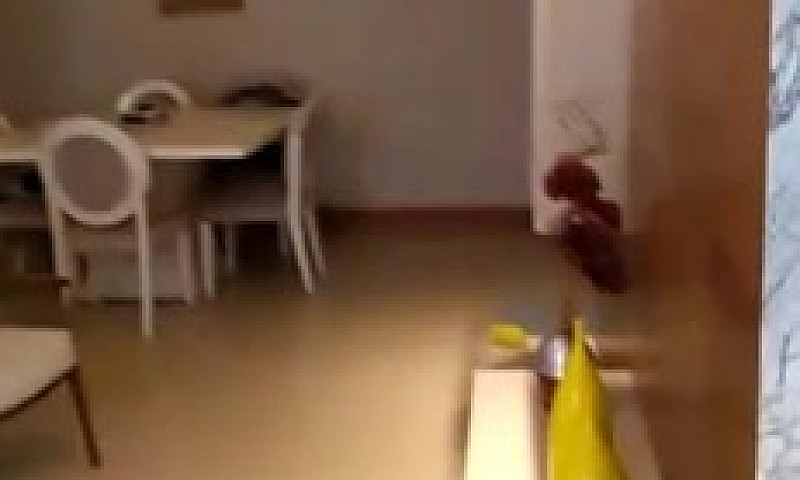 Apartamento 3 Quarto...