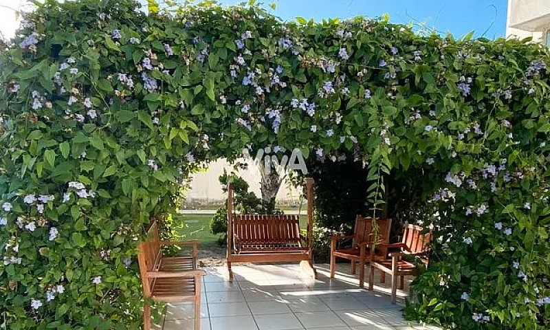 Apartamento Com 3 Qu...