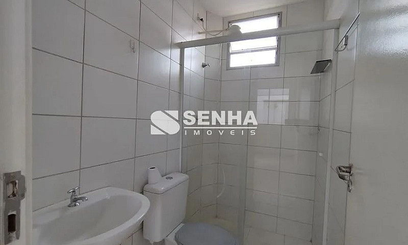 Aluguel Apartamento ...