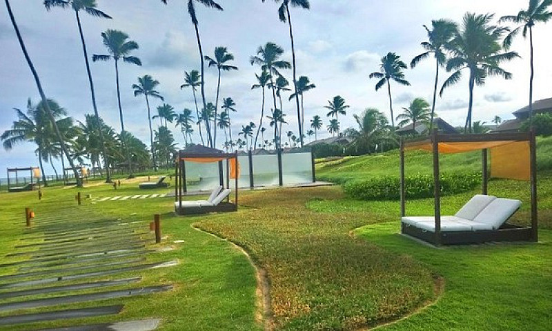 Malawi Muro Alto Bea...