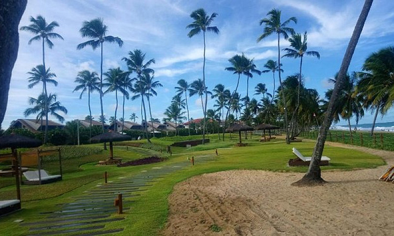 Malawi Muro Alto Bea...