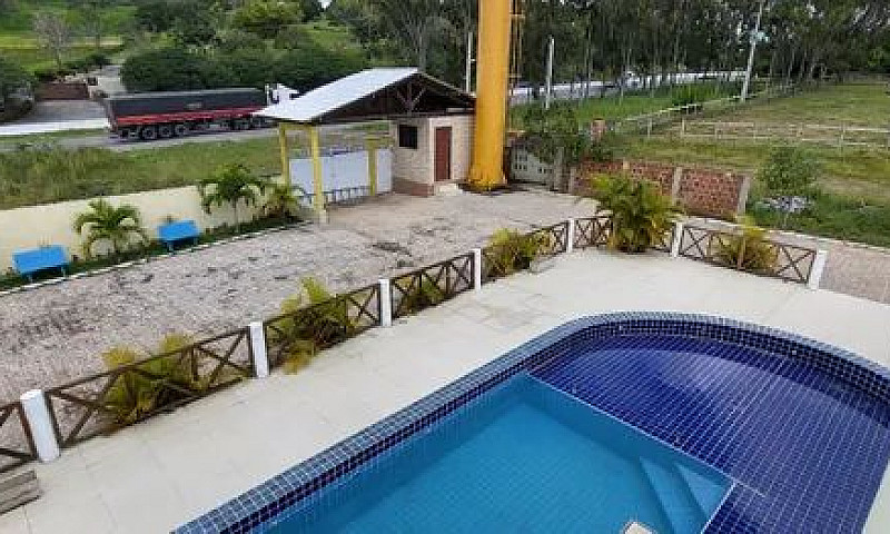 Gravata ,Prive Gênes...