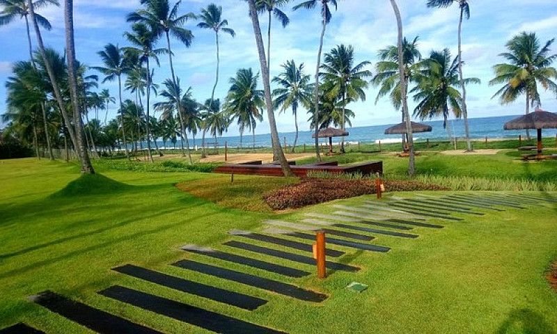 Malawi Muro Alto Bea...