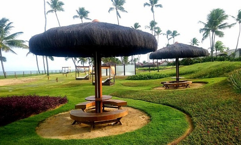 Malawi Muro Alto Bea...