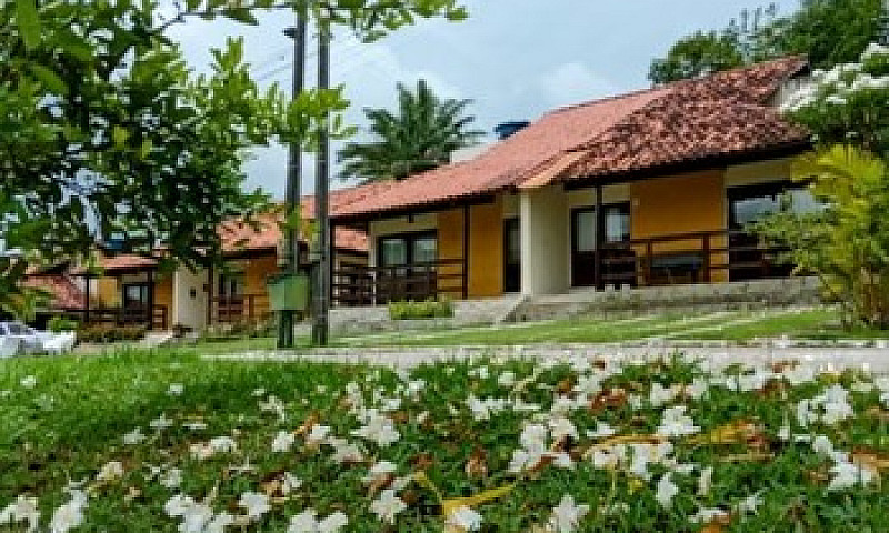 Casa Para Alugar ...