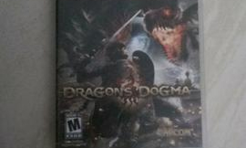 Dragons Dogma...