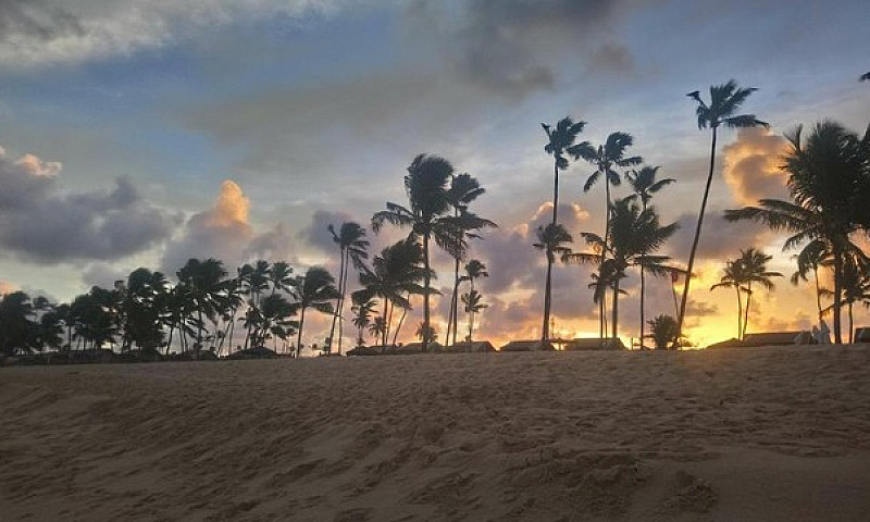 Malawi Muro Alto Bea...