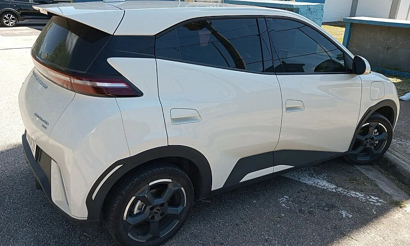 Byd Dolphin Mini (El...