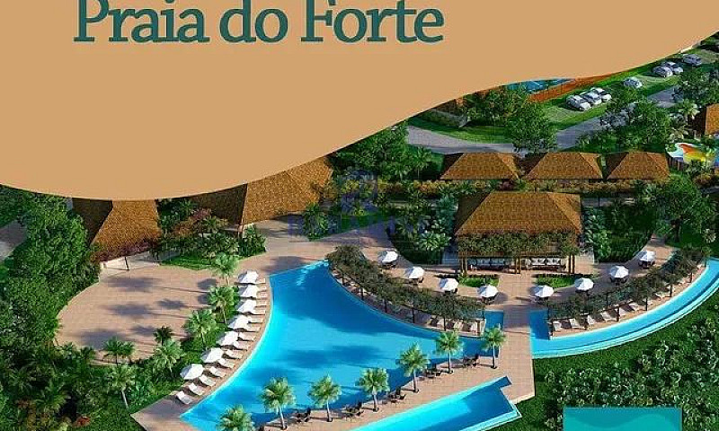 Mata De São João - C...