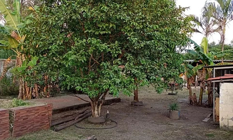 Vendo Terreno Com Du...